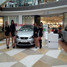 A7_Feria_automovil_Fontanar2017